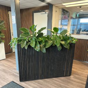 Akoestische panelen bloembak Vicky